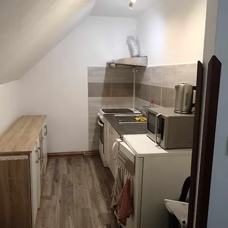 Dvouluzkove Apartma Homestay
